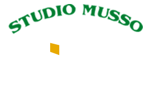 Studio Musso di Infantino Franca 